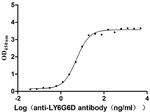 LY6G6D Antibody in ELISA (ELISA)