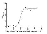 TROP2 Antibody in ELISA (ELISA)
