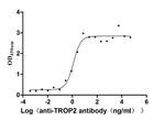 TROP2 Antibody in ELISA (ELISA)