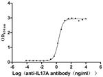 IL-17A Recombinant Human Monoclonal Antibody (11C11)