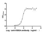 VSIG4 Recombinant Human Monoclonal Antibody (12D12)