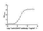CDH17 Antibody in ELISA (ELISA)