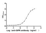 GIPR Recombinant Mouse Monoclonal Antibody (12C6)