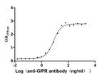 GIPR Antibody in ELISA (ELISA)