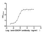CDCP1 Recombinant Human Monoclonal Antibody (30D4)