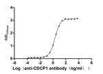 CDCP1 Antibody in ELISA (ELISA)