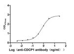 CDCP1 Antibody in ELISA (ELISA)