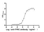 Transferrin Receptor Antibody in ELISA (ELISA)