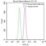 Albumin Recombinant Rabbit Monoclonal Antibody (30F6)