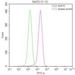 GLT-1 Antibody in Flow Cytometry (Flow)