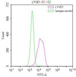 LYVE1 Antibody in Flow Cytometry (Flow)