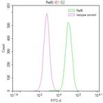 RelB Antibody in Flow Cytometry (Flow)