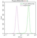 Phospho-MDM2 (Ser166) Antibody in Flow Cytometry (Flow)