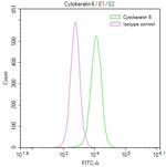Cytokeratin 6A Antibody in Flow Cytometry (Flow)