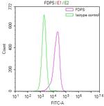 FDPS Recombinant Rabbit Monoclonal Antibody (12H4)