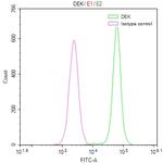 DEK Antibody in Flow Cytometry (Flow)