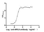MYL9 Recombinant Human Monoclonal Antibody (6G11)