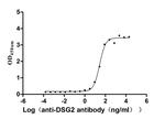 Desmoglein 2 Recombinant Human Monoclonal Antibody (22H6)