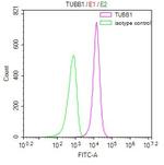 TUBB1 Antibody in Flow Cytometry (Flow)