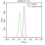 GAPDH Antibody in Flow Cytometry (Flow)