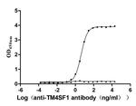 TM4SF1 Recombinant Human Monoclonal Antibody (6B3)