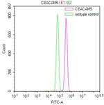 CEA Antibody in Flow Cytometry (Flow)