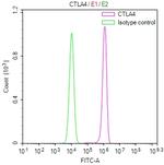 CTLA-4 Recombinant Mouse Monoclonal Antibody (13D6)
