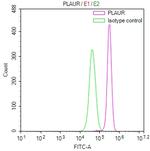 uPAR Antibody in Flow Cytometry (Flow)