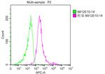 CD223 Antibody in Flow Cytometry (Flow)