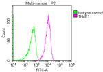 PPA1 Antibody in Flow Cytometry (Flow)