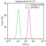 Cytochrome C1 Antibody in Flow Cytometry (Flow)