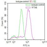 METRNL Antibody in Flow Cytometry (Flow)