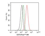 CD73 Antibody in Flow Cytometry (Flow)