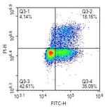 BrdU Antibody in Flow Cytometry (Flow)
