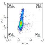 BrdU Monoclonal Antibody (A9C7)