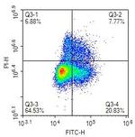BrdU Antibody in Flow Cytometry (Flow)
