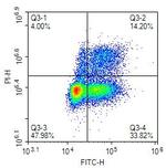 BrdU Antibody in Flow Cytometry (Flow)