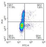 BrdU Monoclonal Antibody (A9C6)
