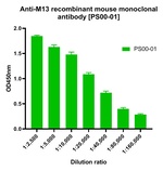 Bacteriophage M13 Recombinant Mouse Monoclonal Antibody (PS00-01)