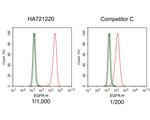 EGFR Antibody in Flow Cytometry (Flow)