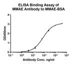 MMAE Antibody in ELISA (ELISA)