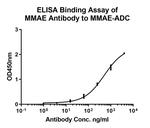 MMAE Antibody in ELISA (ELISA)