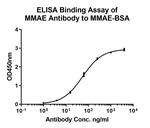 MMAE Antibody in ELISA (ELISA)