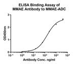MMAE Antibody in ELISA (ELISA)
