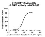 SN38 Antibody in ELISA (ELISA)