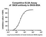 SN38 Antibody in ELISA (ELISA)