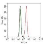 PPP3CB Antibody in Flow Cytometry (Flow)
