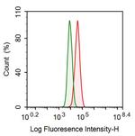 HSP27 Antibody in Flow Cytometry (Flow)