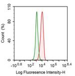 HDAC1 Antibody in Flow Cytometry (Flow)