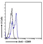 CD89 Chimeric Recombinant Rabbit Monoclonal Antibody (14A8 (14.1))